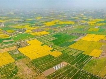 تعیین تکلیف اراضی مورد استفاده ۲۳ طرح در چهارمحال و بختیاری