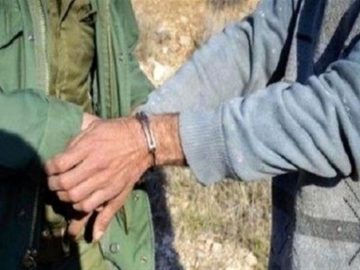 نجات بز وحشی از تله مرگ در میبد