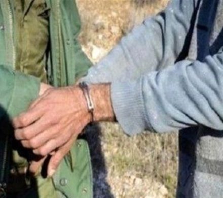 نجات بز وحشی از تله مرگ در میبد