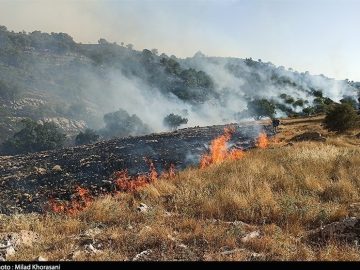آتش‌سوزی در ارتفاعات کوهستانی گچان ایلام