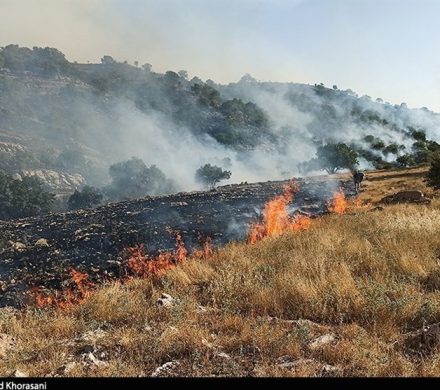 آتش‌سوزی در ارتفاعات کوهستانی گچان ایلام