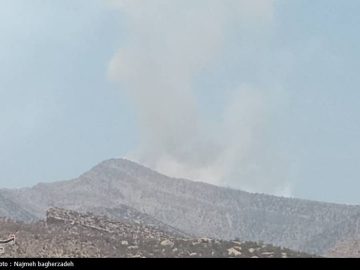آتش‌سوزی در ۸۰ هکتار از مراتع استان زنجان مهار شد