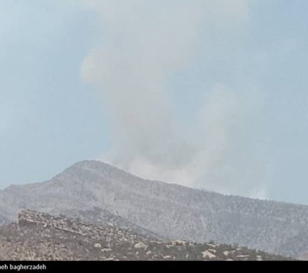 آتش‌سوزی در ۸۰ هکتار از مراتع استان زنجان مهار شد