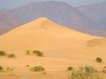 کویر؛ فرصت مغفول توسعه جهانی در سایه صلح و تعامل
