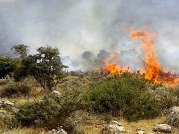 آتش‌سوزی در دل جنگل گلستان‌ با سهل‌انگاری گردشگران/ زنگ خطر ‌به صدا درآمد