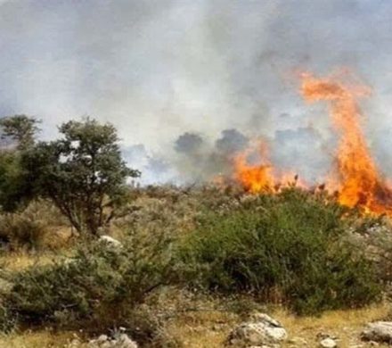 آتشسوزی در دل جنگل گلستان با سهلانگاری گردشگران/ زنگ خطر به صدا درآمد