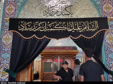حرم یار وفادار حضرت علی (ع) در اربعین؛ تجلی ولایتمداری در نجف