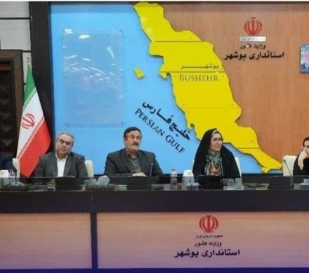 تعاونی‌های مشاغل مختلف تولیدی و خدماتی استان بوشهر تقویت می‌شود