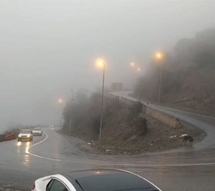 ترافیک سنگین در جاده چالوس و هراز/ مه‌گرفتگی و باران در برخی محورها