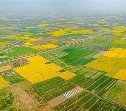 ۸۰ درصد آب اردبیل در ۲۲۵ هزار هکتار اراضی کشاورزی مصرف می‌شود