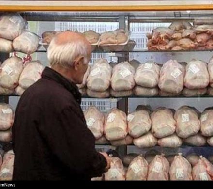 تشدید نظارت بر بازار مرغ در سراسر استان فارس