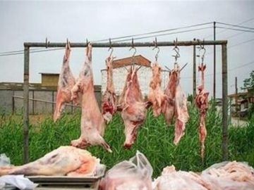 رهاشدگی در کشتار غیرمجاز دام در اردبیل