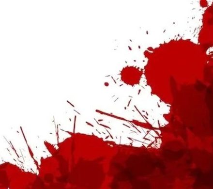 ماجرای پرونده قتل خواهر و برادر دیواندره‌ای چه بود؟
