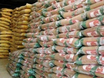 برنج پرتودهی شده، تراریخته نیست