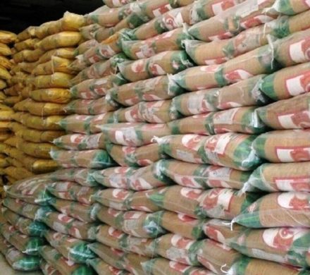 برنج پرتودهی شده، تراریخته نیست