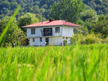 ویلاسازی در قلب شالیزارهای شمال/ مرگ زمین‌های پدری/ اینجا سوداگران زمین پیروزند!