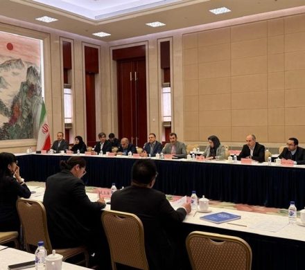 دیدار مدیرعامل ملی مس با معاون وزیر منابع طبیعی چین