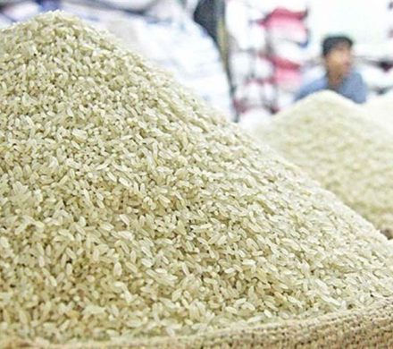 چرا قیمت برنج ایرانی افزایش بیسابقه پیدا کرد؟/ مردم از اینجا برنج ارزان بخرند