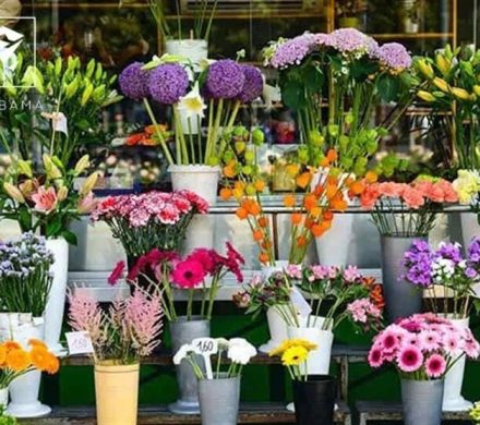معرفی گل‌های ماه تولد + عکس