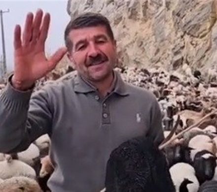 تکذیب ادعای تلفات ۵۰ دام در اشکورات/ دامپزشکی رودسر‌هیچ گزارشی دریافت نکرد