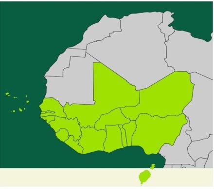 نشست مشترک FATF با گروه منطقه‌ای غرب آفریقا