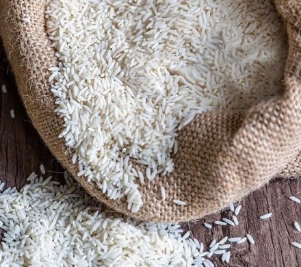 برنج پاکستانی وارداتی با قیمت تنظیم بازار توزیع می شود