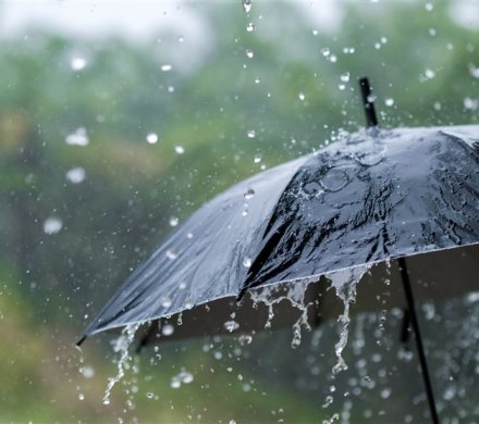 کاهش بیش از ۹۵ درصدی بارشها در ۲۰ استان