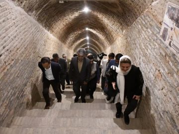 بازدید نماینده یونسکو از آثار تاریخی بیرجند