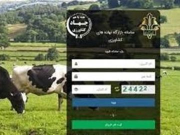 تشدید نظارت در بازارگاه؛ حساب متخلفان مسدود و پرونده‌ها به تعزیرات می‌رود