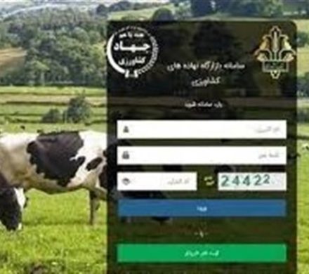 تشدید نظارت در بازارگاه؛ حساب متخلفان مسدود و پروندهها به تعزیرات میرود