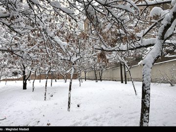 پاییز بالاخره به شمال رسید/‌ مازندران نفس سرد پاییز را کشید