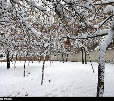 پاییز بالاخره به شمال رسید/ مازندران نفس سرد پاییز را کشید