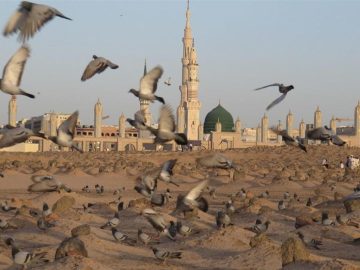 تاریخ پنهانِ یک شهادت| راز اختلاف در تاریخ شهادت حضرت زهرا‌(س)