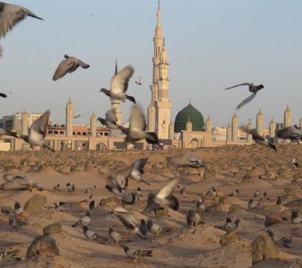 تاریخ پنهانِ یک شهادت| راز اختلاف در تاریخ شهادت حضرت زهرا‌(س)